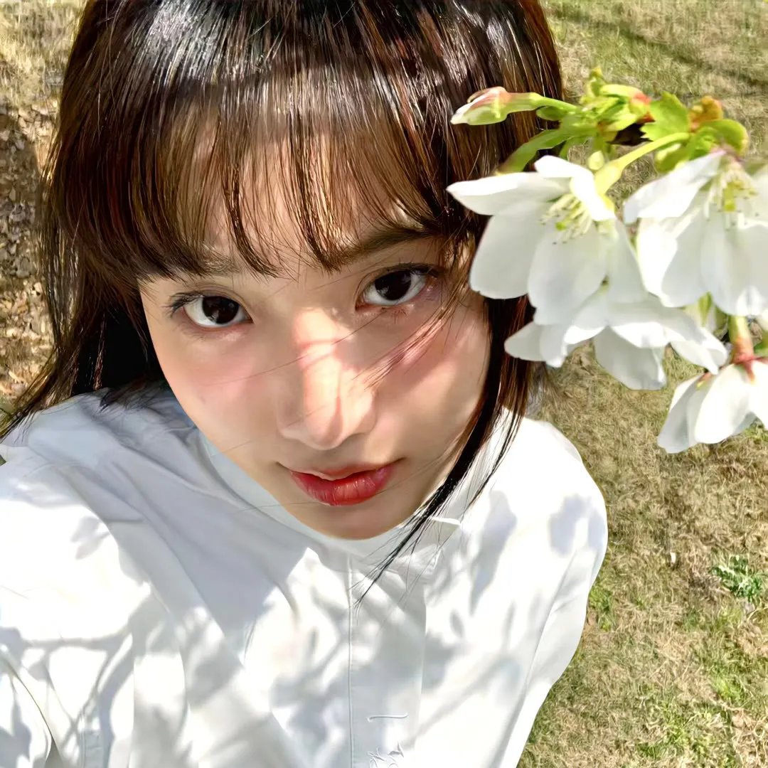 甄嬛传